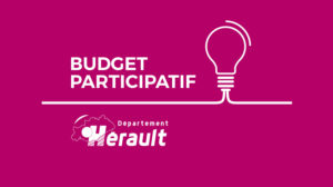 Vote : financement participatif du département